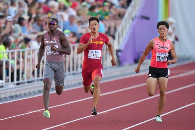 体育直播-小组第五无缘决赛 谢震业新周期的挑战刚刚开始